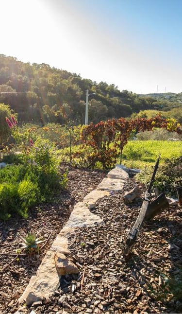 a garden with a path leading to a hillside