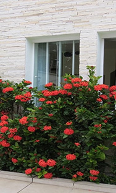 Sala para psicólogos Metrô