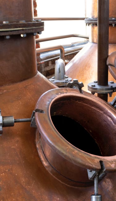a large copper potted uno tequila agave