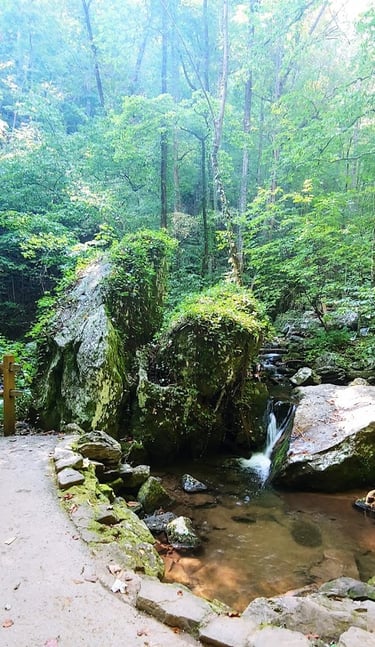 Helen GA - boulders by Smith Creek at Anna Ruby Falls