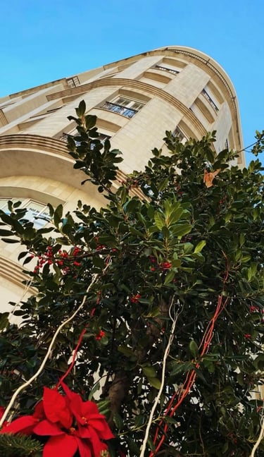 Jaen centro l Asociación de vecinos Calle Navas de Tolosa Jaen centro