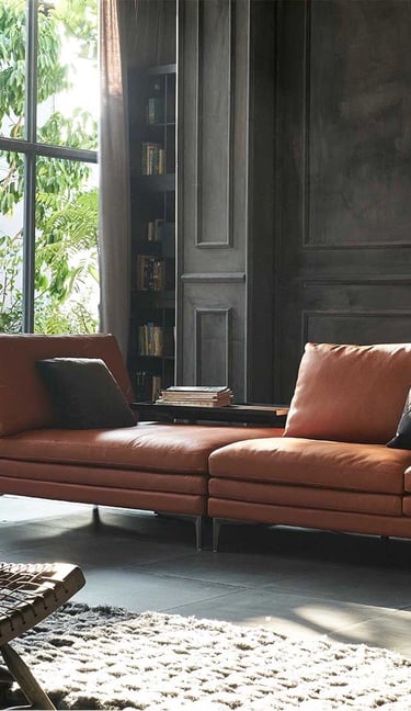 Moderni odinė sofa