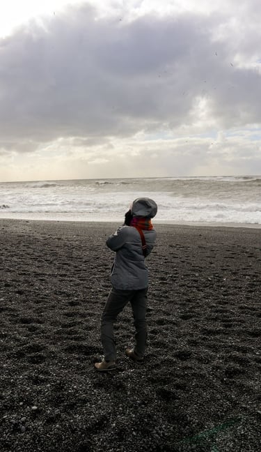 spiaggia-nera-islanda-cerbi