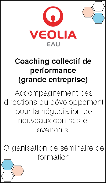 Veolia Eau : Coaching de performance pour les grandes entreprises. Accompagnement pour négociations 