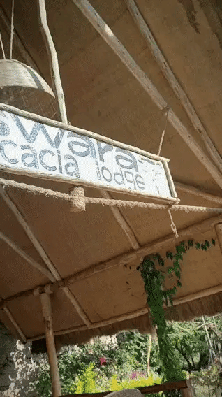 AMCorp - Swara Lodge content