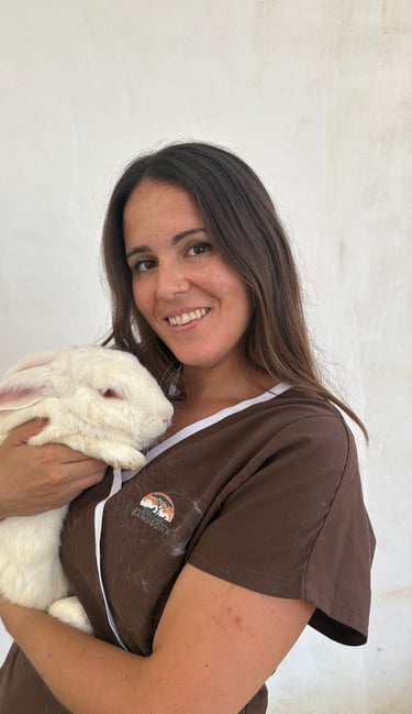 veterinaria animales exóticos
