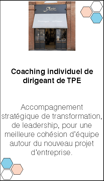 Chez Xavier. Accompagnement stratégiqque de transformation