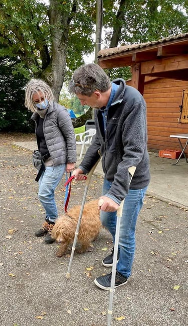 chien qui accompagne une personne handicapée
