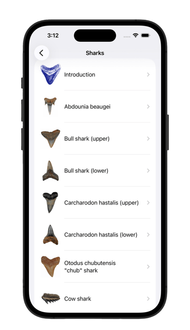 Shark fossil list