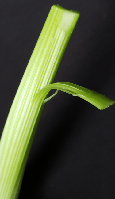 Celery