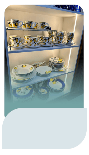 Maysa Faracco Personal Organizer Campo Grande MS