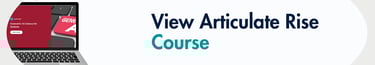 View Articulate Rise Course