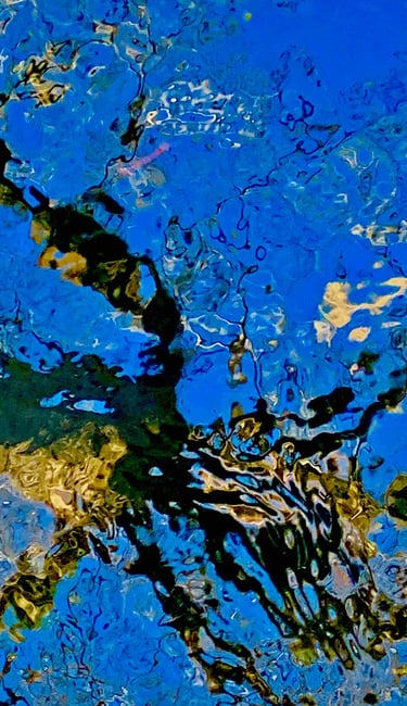 tree reflection in water