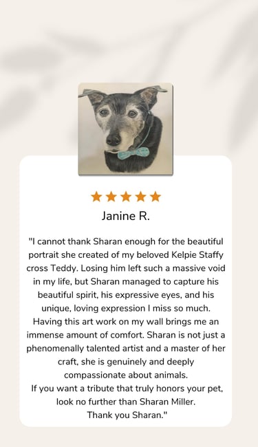 Fine art pastel pet portrait with exceptional detail and realistic features.