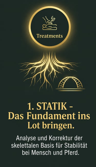 German infographic about skeletal stability treatments for humans and horses with gold root and arch graphics.