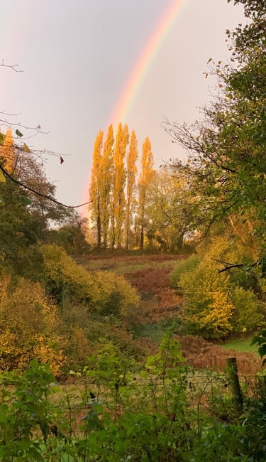 Early Autumn walks around Pool Hill.