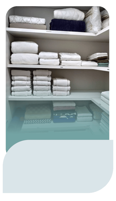 Maysa Faracco Personal Organizer Campo Grande MS