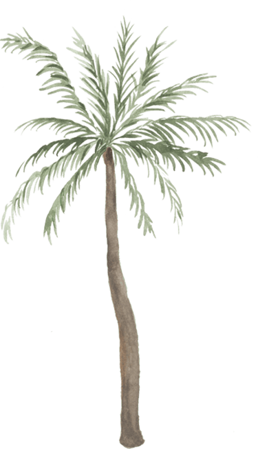 watercolor palm tree