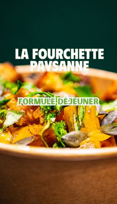 vidéaste cadreur monteur orléans