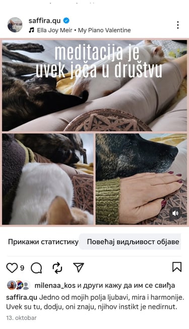 Životinje jako dobro osećaju energije. Uvek su prisutne blizu uredjaja.