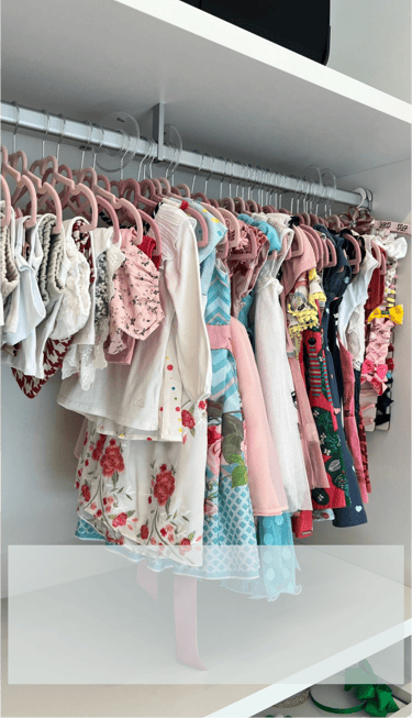 Maysa Faracco Personal Organizer Campo Grande MS