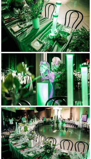 Renginiu fotografas Vilniuje, imones renginiu, vakareliu konferenciju fotografavimas, EimantasPhoto