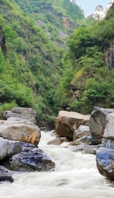 Umbrella Waterfall spring with rocks and trees in the background