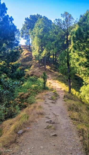 Hilly trail leading to umbrella waterfall 