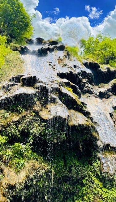 Umbrella waterfall in the middle of a lush green forest