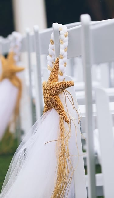 white tule and brown starfish hanger on white wedding chairs