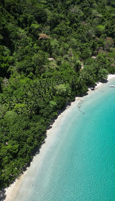 a boat is parked on the shore of a tropical island