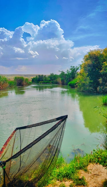 Bright river landscape with blue sky, white clouds, vivid green vegetation, and colorful water refle