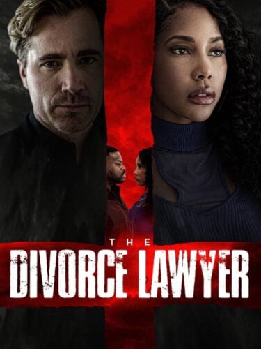 The Divorce Lawyer