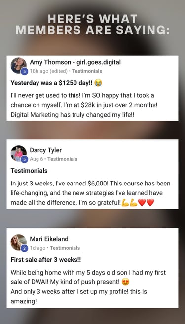 Burnout Business experiences – real participants report on their first sales, $1,250 days, and successes with the online cour