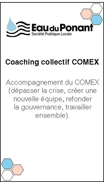 Eau du Ponant. Accompagnement du COMEX