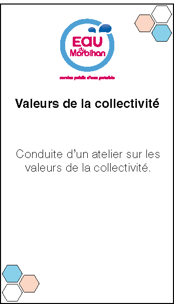 Eau du Morbihan. Accompagnement avec atelier sur les valeurs de la collectivité