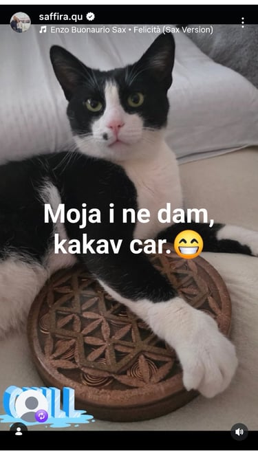 Jedan zaista poseban mačor, uvek je u svadji sa ostalim članovima porodice oko uredjaja. Presladak.