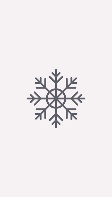 Winter icon.
