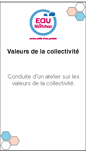 Eau du Morbihan. Accompagnement avec atelier sur les valeurs de la collectivité
