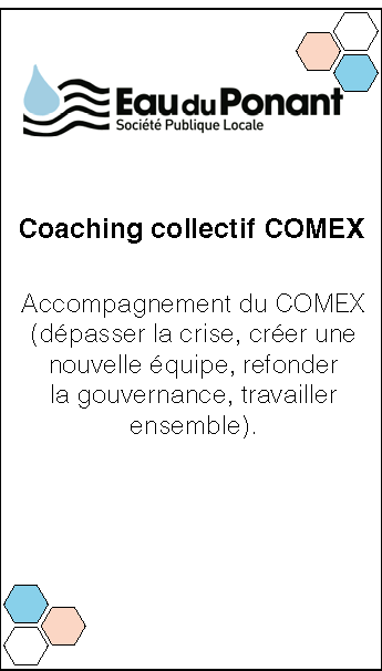 Eau du Ponant. Accompagnement du COMEX