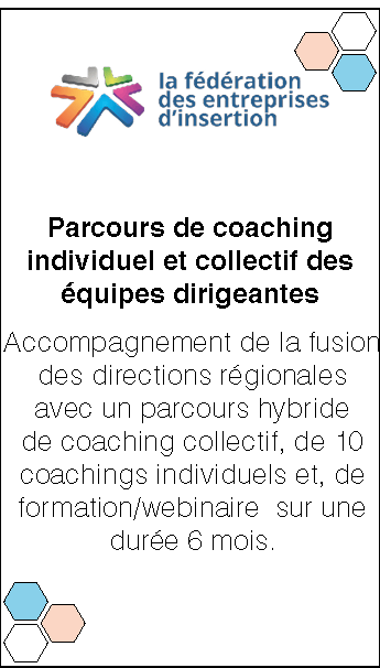 Fédération des entreprises d'insertion. Accompagnement à la fusion des directions régionales
