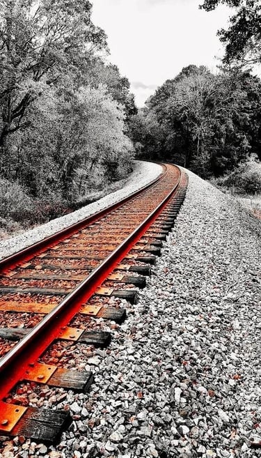 Chattanooga - railroad tracks at the Audubon Acres nature sanctuary