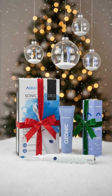 Idées cadeaux de noël 2025 hygiene-precision.com