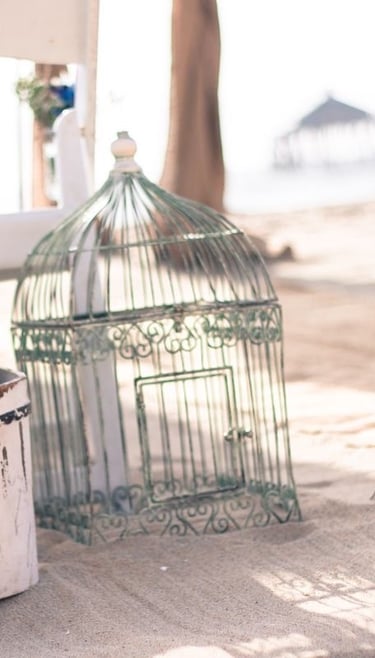 rustic green birdcage set on sand at beach wedding
