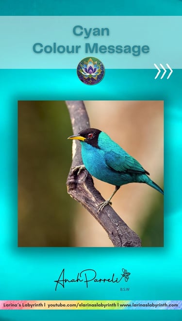 Colour Messenger: Power Of Cyan Blue. Colour Healing; color healing