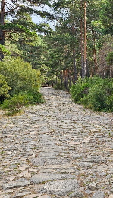 Time Travel on Roman Roads photographed by Nikoru