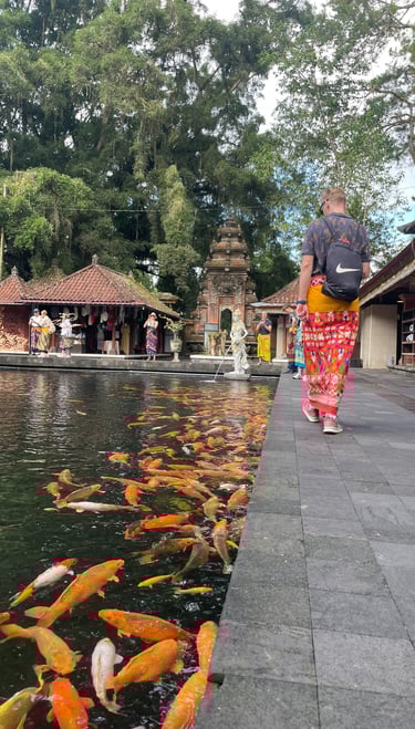 karpie koi w wodzie w świątynia na Bali