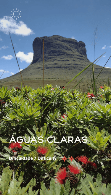 aguas claras