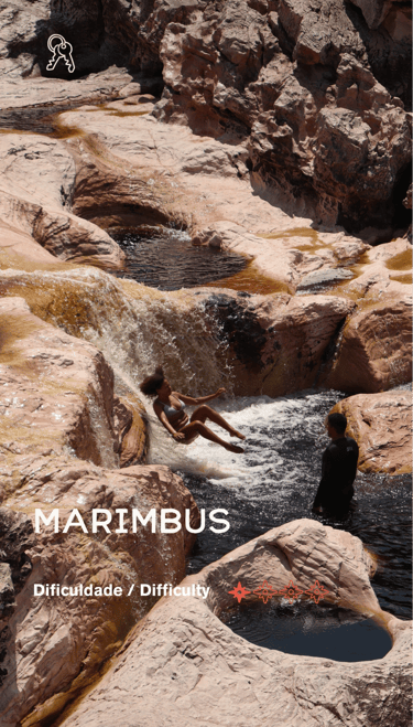 Marimbus