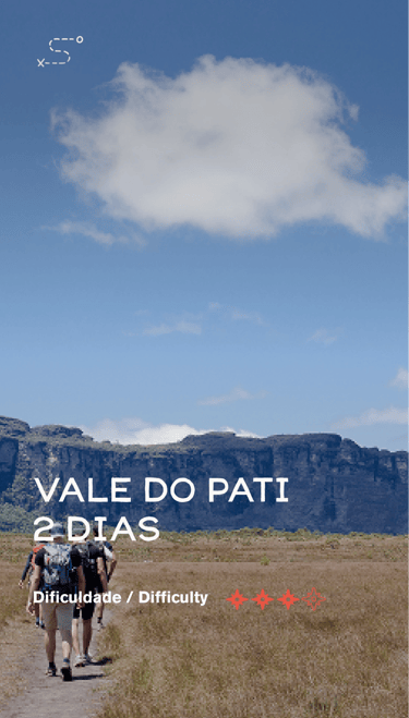 Pati 2D